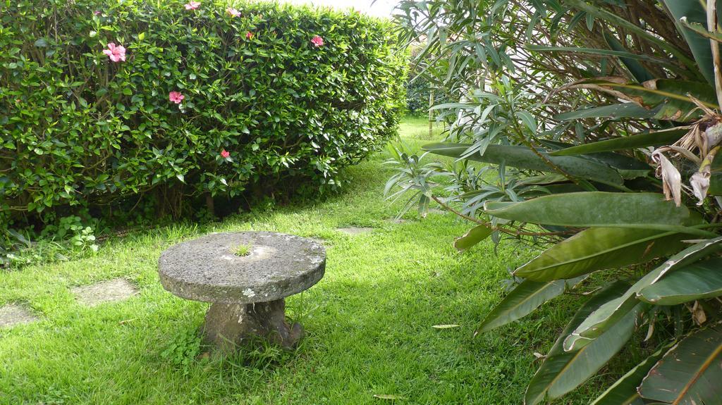 Azores Garden House - Private Suites & Apartments - Automatic Self Check-In Ponta Delgada Eksteriør bilde