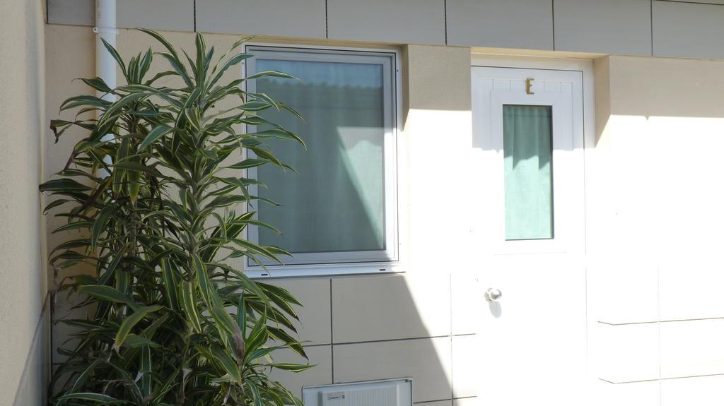 Azores Garden House - Private Suites & Apartments - Automatic Self Check-In Ponta Delgada Eksteriør bilde
