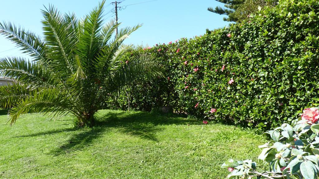 Azores Garden House - Private Suites & Apartments - Automatic Self Check-In Ponta Delgada Eksteriør bilde